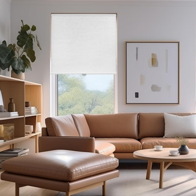Cordess Light Filtering Cellular Shades