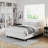 Jessine 8 Inch Metal Box Spring, Fabric - Covered, Easy Assembly Mattress Foundation-1990355506