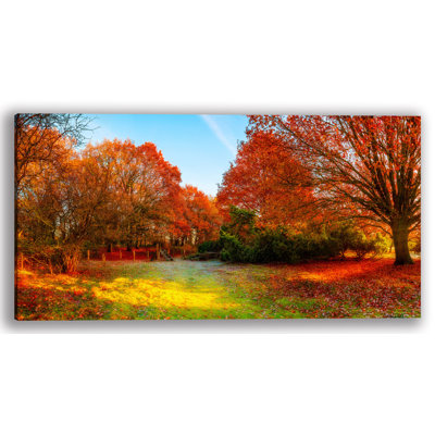 " Fall Forest "