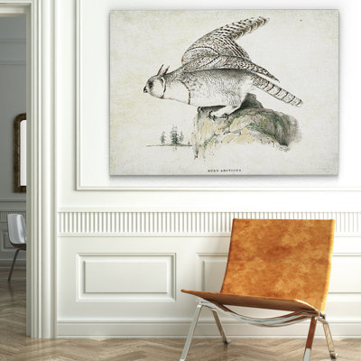 " Aviary Plate XIV "