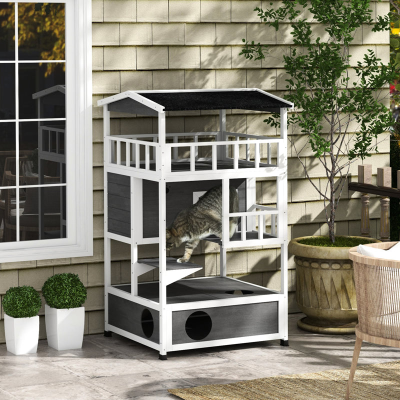 Maison pour chat en bois, gris, pour l'extérieur et l'intérieur avec toit en asphalte, portes de secours et plateforme de saut énergique