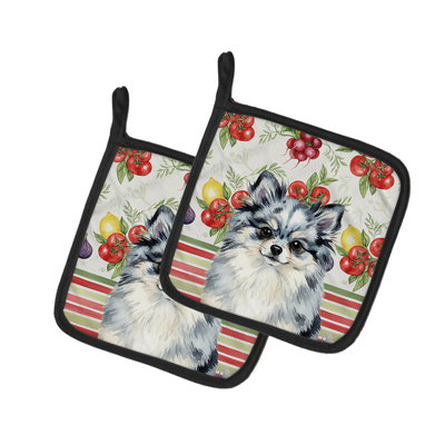 Paire de poignées Blue Merle Pomeranian