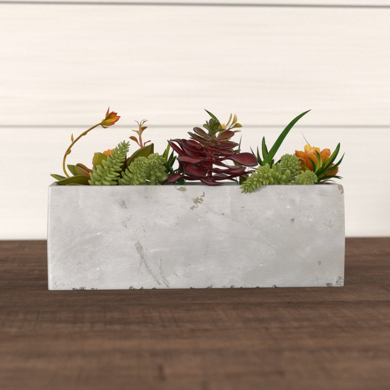 Sydnee 19cm Succulent in Cement Planter