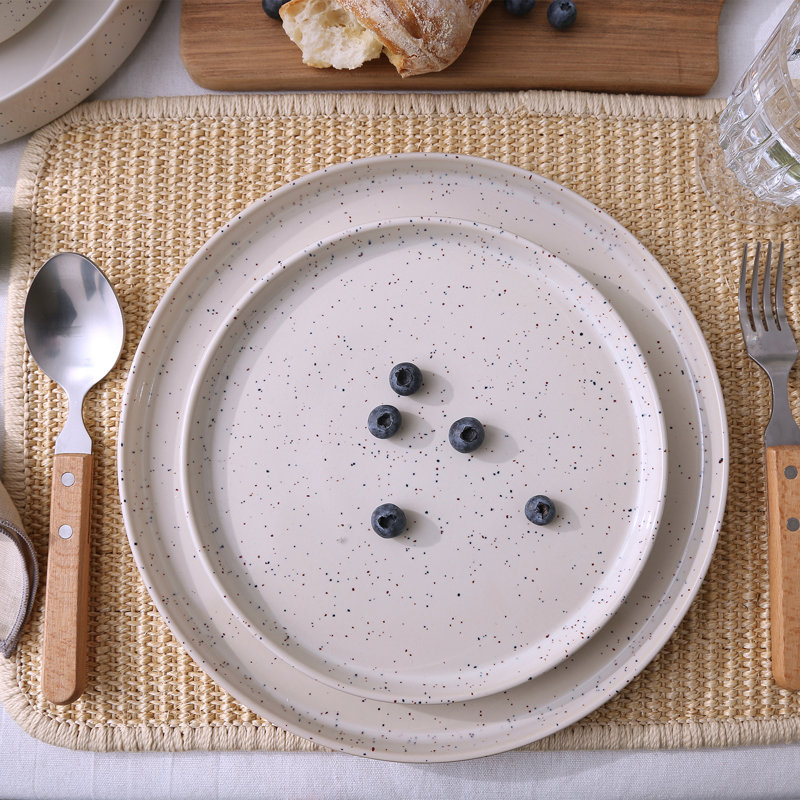 Delaenie Piece Stoneware Dinnerware Set - Service for 4, Creamy/Colorful Speckles