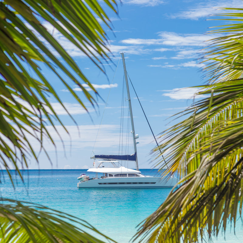 Catamaran Sailing Boat by Kasto80 - Wrapped Canvas Print, 30cm H x 30cm W