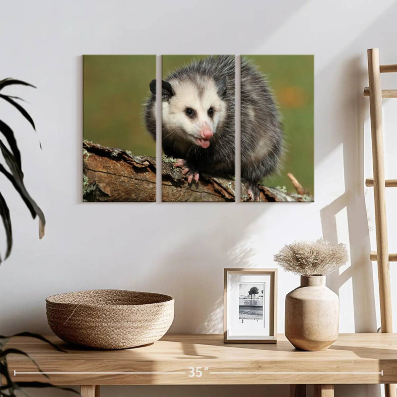 Brampt Angry Opossum, 32" H x 50" W