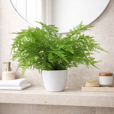 30cm Faux Fern Plant in Pot Liner