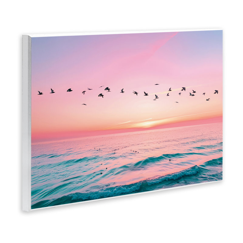 «Stupell Industries», vol au-dessus de l'océan pastel, plaque murale par Pink Sherbet, photographie, H 10 po x l 15 po