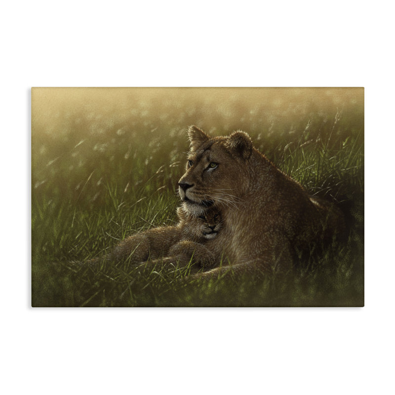 Toile Safe Haven Lion Cub, conception de Collin Bogle, H 16 po x l 24 po