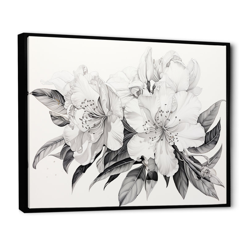Gris, rhododendron, pétale, poésie, zen III, Cadre flottant noir, H 34 po x l 44 po x P 1,5 po