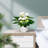 Self Watering Plant Pots Indoor-1507783040