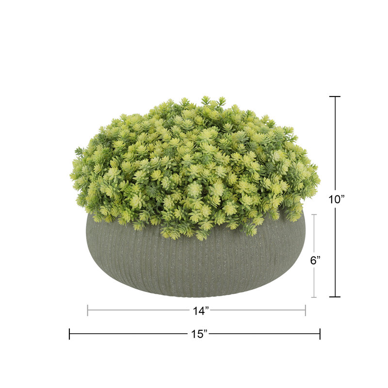 Sedum Arrangement in Fiberstone Pot, 10" H x 15" W x 15" D