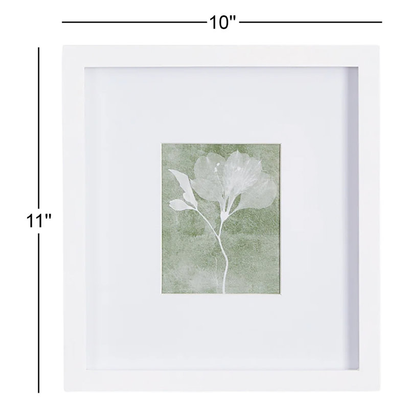Pinar Translucent Petite - ensemble de 4 reproductions encadrées sur papier