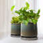 Pot à fleurs en céramique Jaysiah-818256655