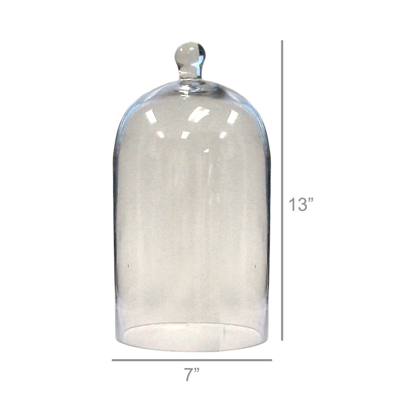 Baines Glass Dome, 13" H x 7" W x 7" D