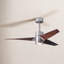 LED Downrod Ceiling Fan-287126882-291225117-364024422