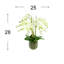Phalaenopsis Floral Arrangement