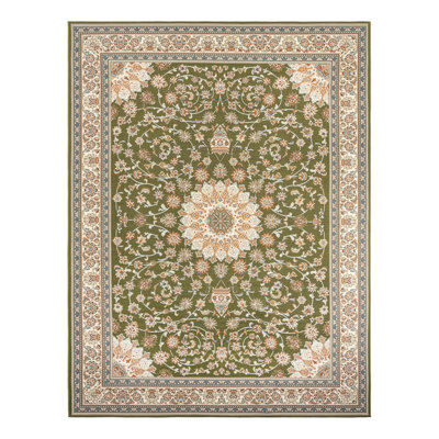 Indoor/Outdoor Traditional Area Rug