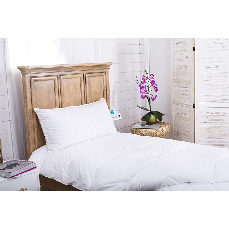 Wimborne Continental Bedding Premium White Goose Down Plush Pillow. Standard Size Plush, Queen