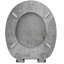 Wargo Soft Close Elongated Toilet Seat