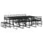 Natiyah 12 - Person Wicker Patio Dining Set with Rectangular Table