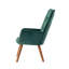 Hollowayville Velvet Armchair