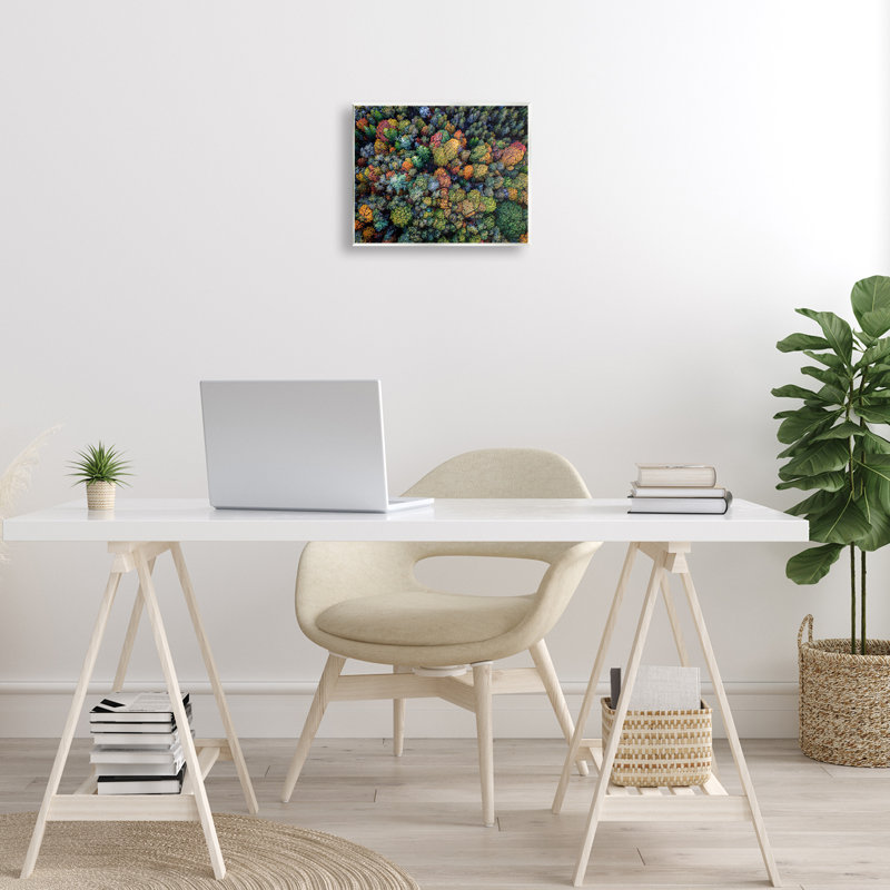 Art mural sur plaque, feuillage automnal par Rick Berk