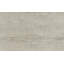 Area Rug in Beige