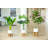 Galles 32 " H Faux Philodendron Tree in Ceramic Pot