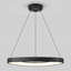 Luminaire suspendu Ivy Bronx Phulkana, moderne, noir mat