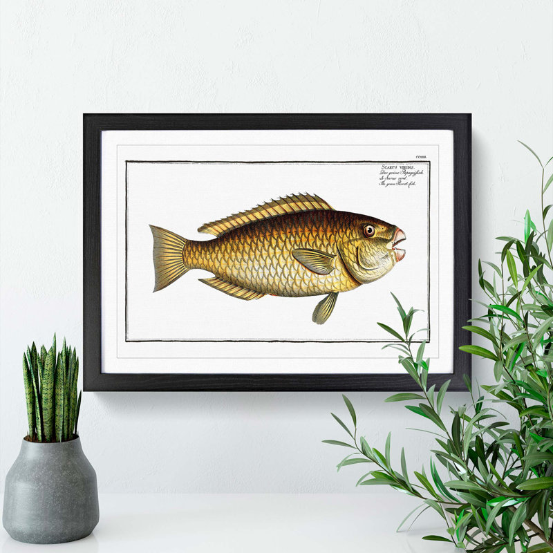 Green Parrot-Fish by M.E. Bloch - Picture Frame Painting Print, Black Framed, 36cm H x 48cm W x 2cm D
