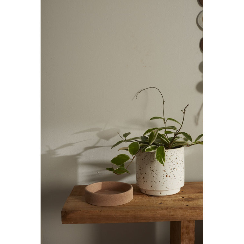 Pot à fleurs en céramique Kaesha, H 6,75 po x l 6,5 po x P 6,5 po