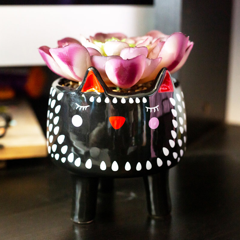 Agave en céramique pour chat en pot de fleurs, Noir