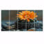 Ensemble de décorations murales florales monochromes - cactus orange-249384051