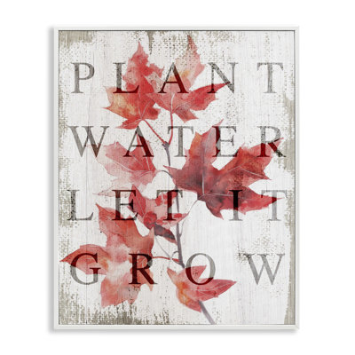 «Plant Water Let It Grow», giclée encadrée, design par Lil 'Rue