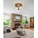 3-Light Dimmable Flush Mount Lighting