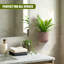 Wall Planter