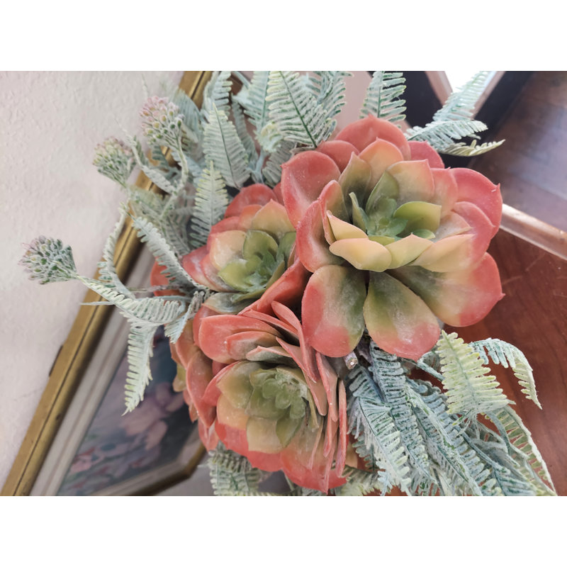 Arrangement de plantes grasses