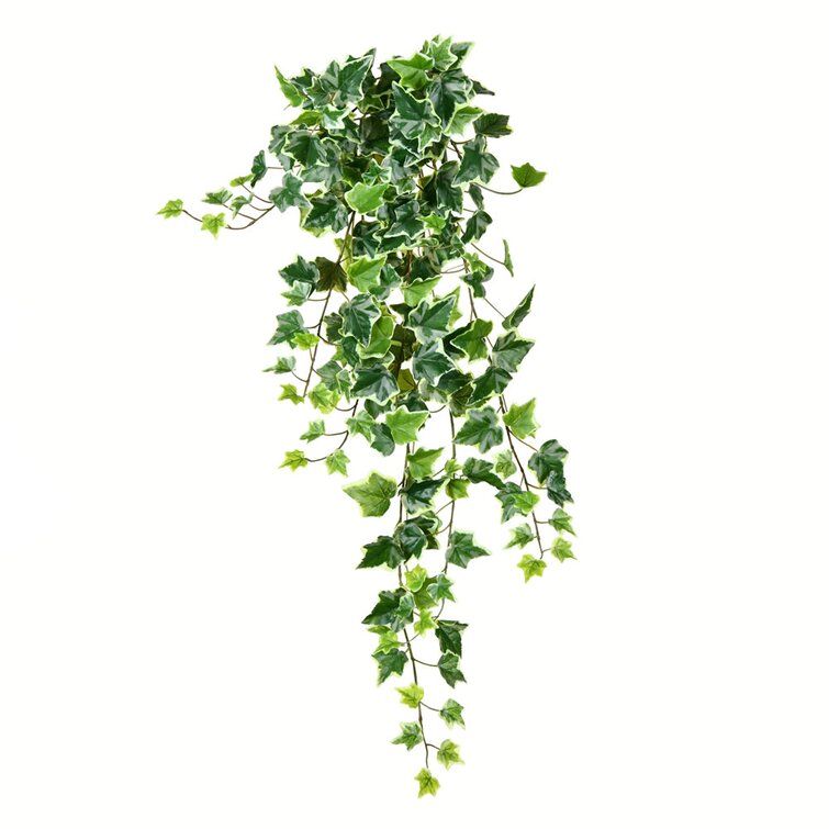 Outdoor Rated Artificial English Ivy Bush