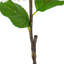 Artificial Hydrangea Spray-1687099545