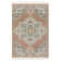 Oriental Indoor Rug