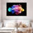 Brampt Rainbow Lionfish-107843131