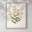 Motif floral rétro - imprimé encadré-1195045392-1195045397