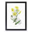 Yellow Daisies - Picture Frame Painting Print-55613913-55613917