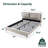 Upholstered Platform Bed-63519492