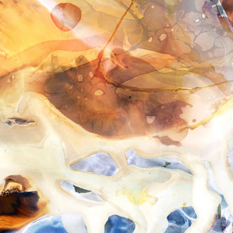 Southwest Cosmos Print by THE Studio, 50'' H x 50'' W