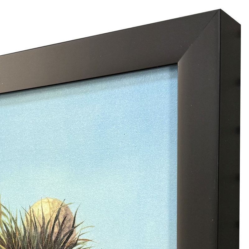 Ball Hog No. 2 Non-Glass Framed Art