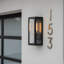 Young 1-Light Matte Black Outdoor Wall Lantern