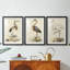 Antique Heron I - reproduction sur mesure encadrée de qualité supérieure - 3 pièces-339623390-339623388