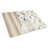 Akita blanc est en rupture de stock